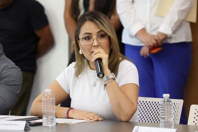 Claudia Díaz Gayou pide revisar a fondo propuesta de Kuri