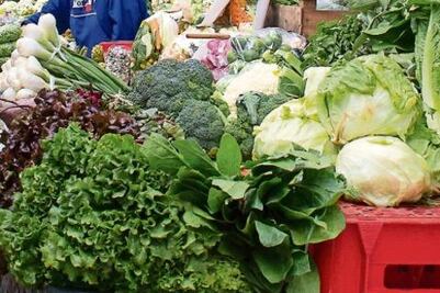 Capacitarán a comités escolares en nutrición