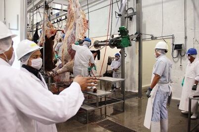 Bajarán sacrificios en rastro municipal