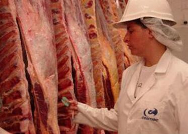 Detectan clembuterol en carne