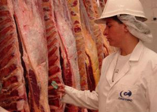 Detectan clembuterol en carne