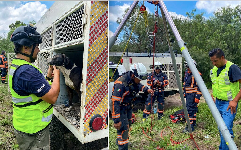 Se movilizan cuerpos de rescate para sacar a perrito que cayó a un pozo en Querétaro