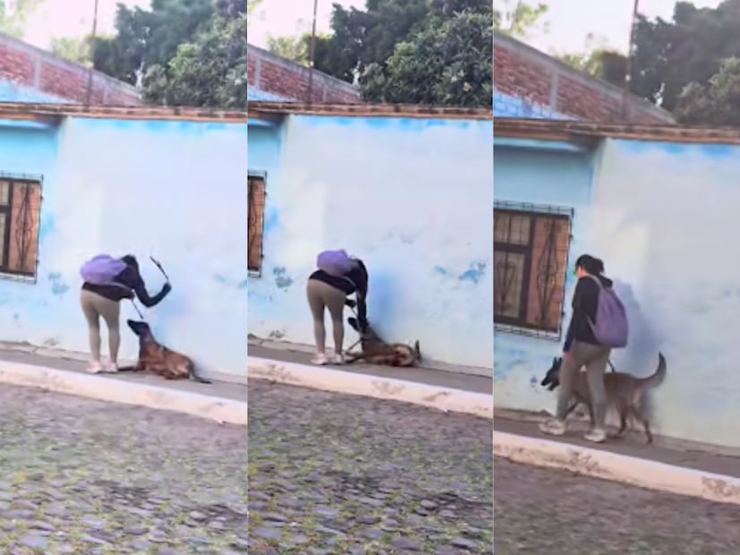 FOTO. CAPTURA DE PANTALLA