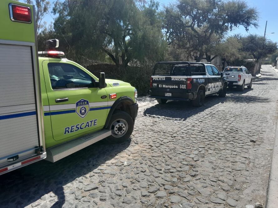 Foto: CAAM de El Marqués