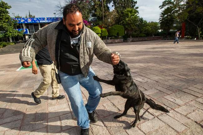 Reforzarán binomios caninos en la UAQ