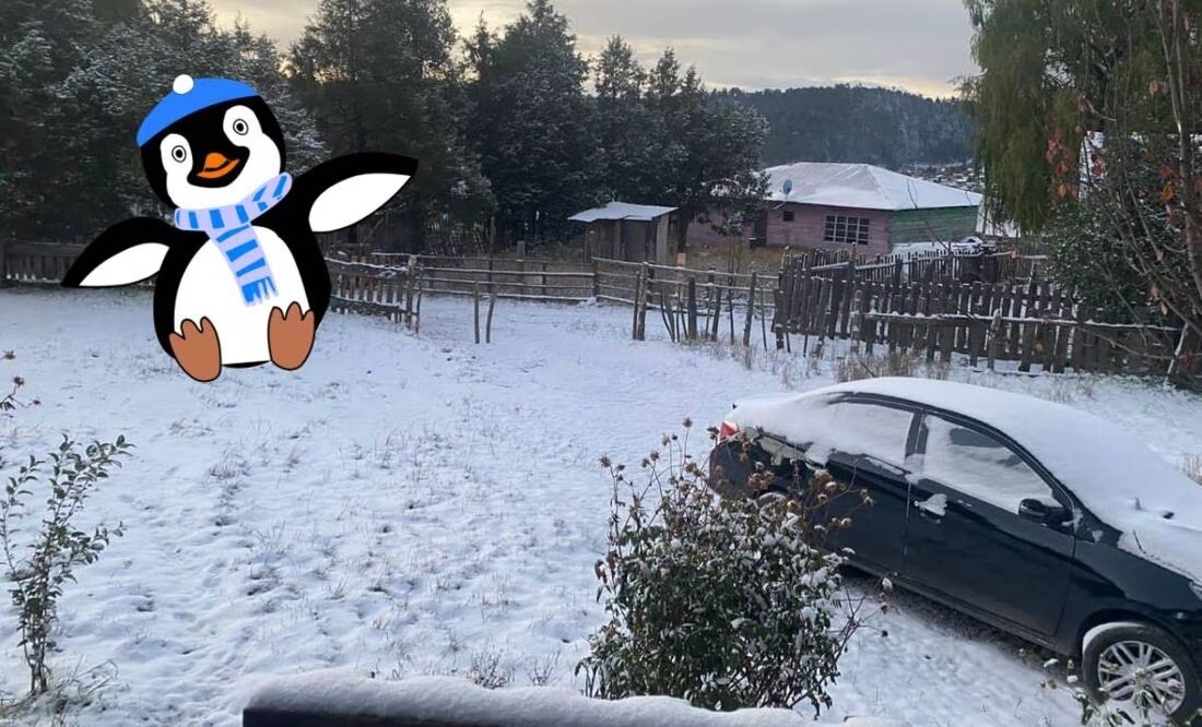 Chihuahua se pintó de blanco tras la caída de nieve por el frente frío. Foto: Protección civil de Chihuahua/ Pixabay