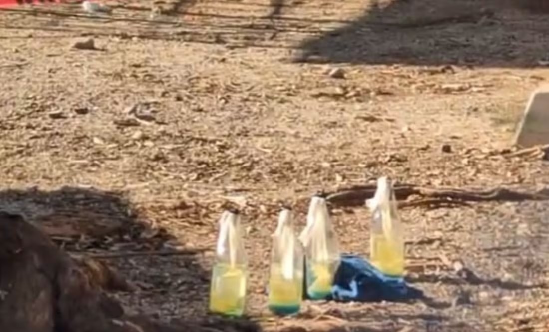 Localizan cuatro bombas molotov dentro de escuela en Hermosillo, Sonora; de acuerdo con indagatorias, el objetivo era un taller mecánico