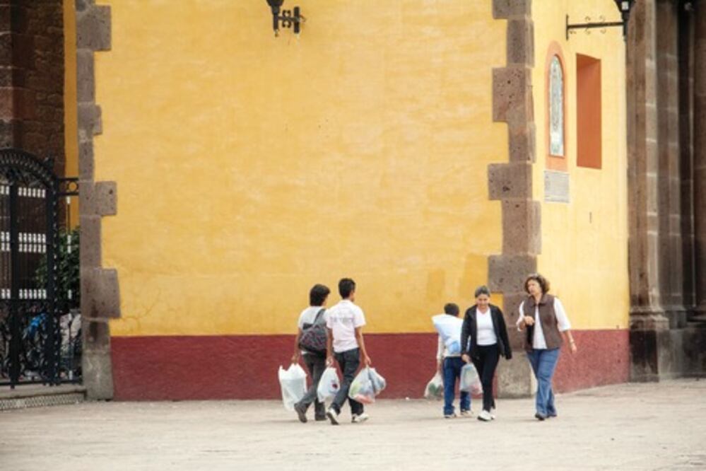 Frena INAH 10 obras en el centro de SJR