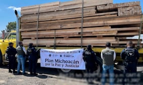 Detienen a 14 personas por tala ilegal en Michoacán