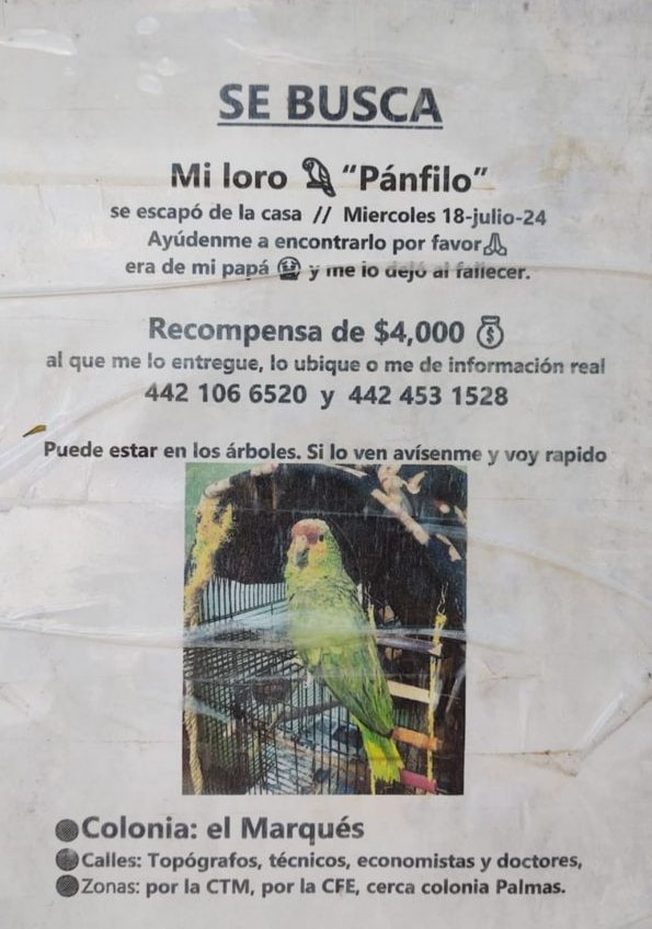 Foto: Captura de pantalla