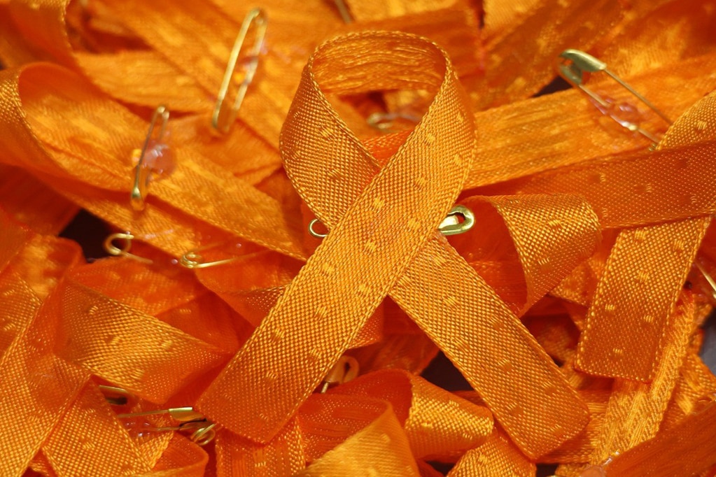 Foto: Facebook Legislatura Querétaro