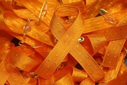 Opinión. Eliminar la violencia contra las mujeres: El gran reto del siglo XXI