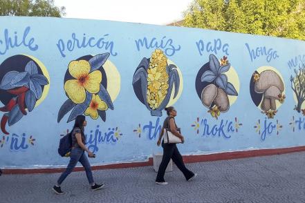 Con arte visibilizan raíces indígenas