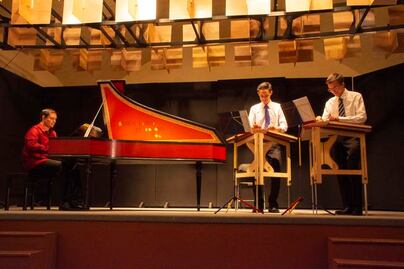 Sin apoyos para el festival del salterio