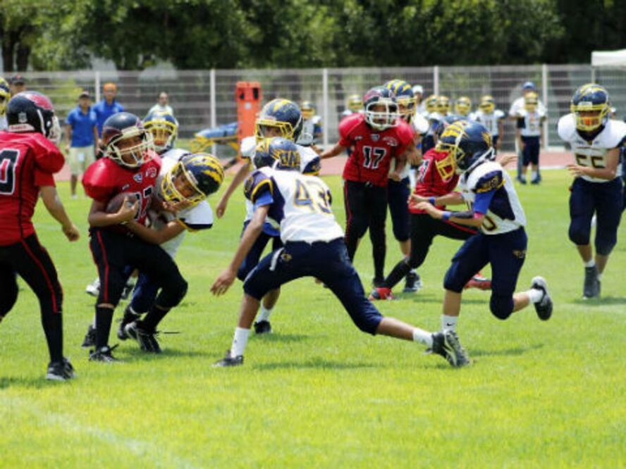 Gatos Salvajes, listos para enfrentar