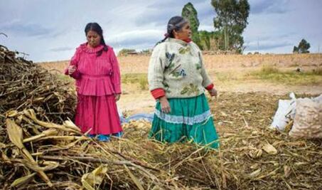 Trabajan por revitalizar las lenguas indígenas