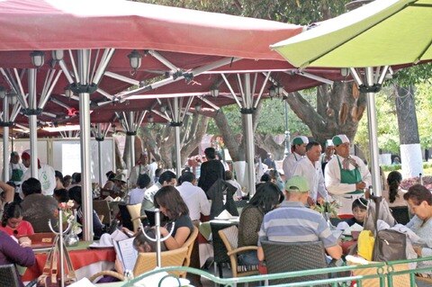 Restaurantes, fuente de empleo