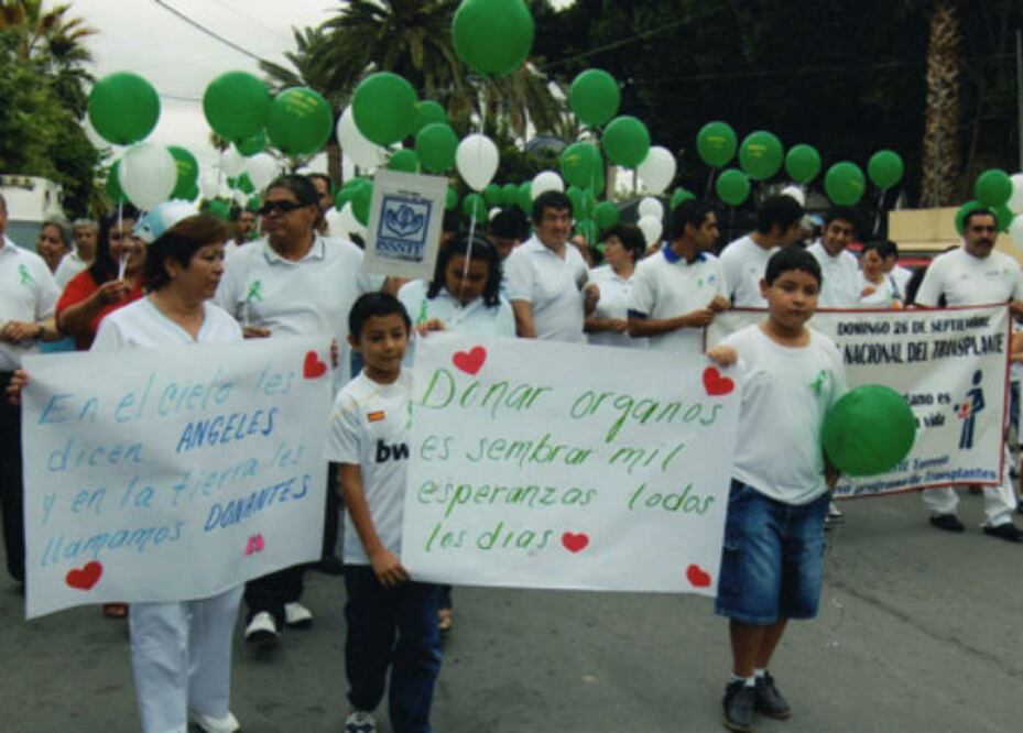 Anuncian registro de donadores de órganos