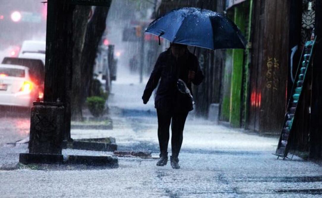 Foto: Archivo/ EL UNIVERSAL