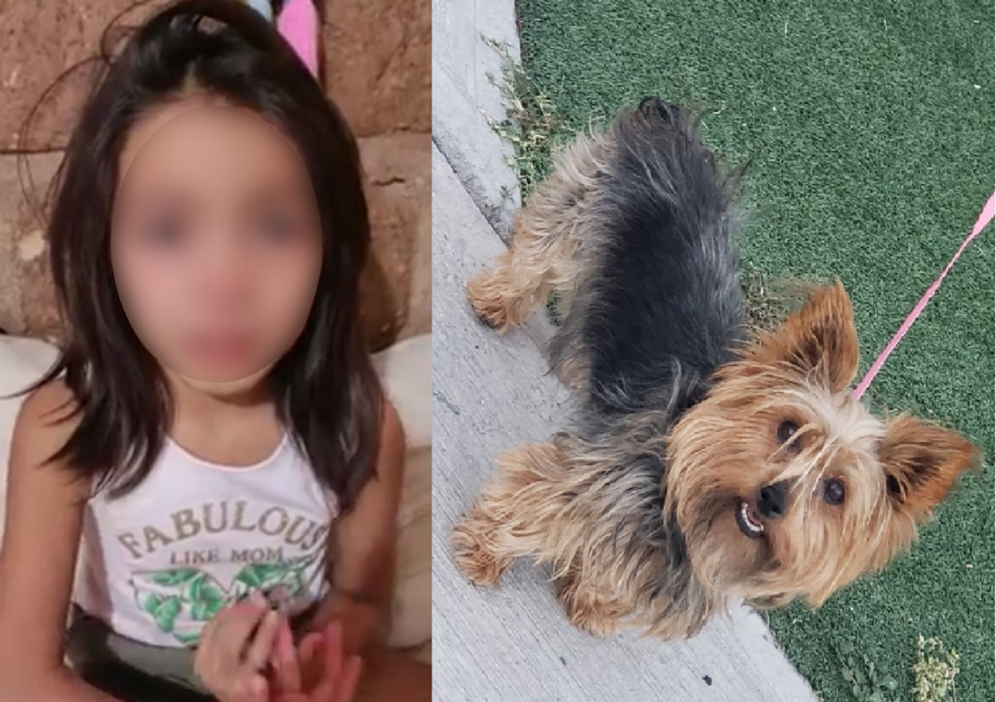 Entre el llanto, María José pide ayuda para encontrar a "Chikis" en Querétaro