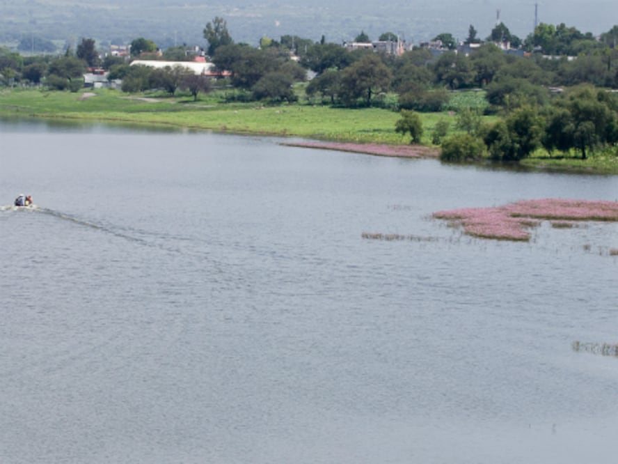 En buen estado presa del Zorrillo: alcaldesa