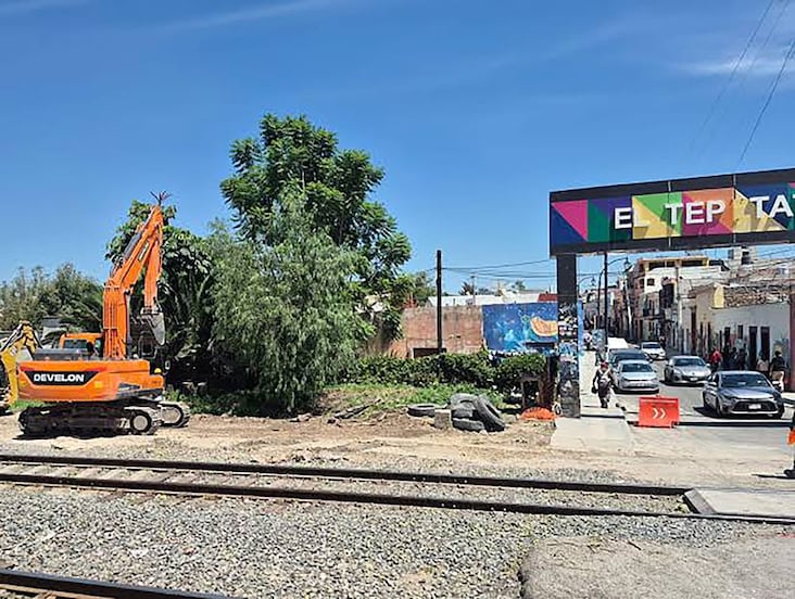 Buscan evitar la tala de árboles por proyecto del Tren México-Querétaro
