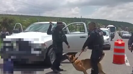 Ares lo vuelve a hacer; localiza droga en los límites de Querétaro 