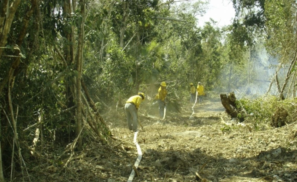 Cierran zona arqueológica maya como prevención ante incendio