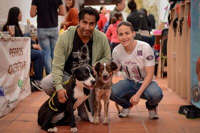 Disfraces caninos mexicanos