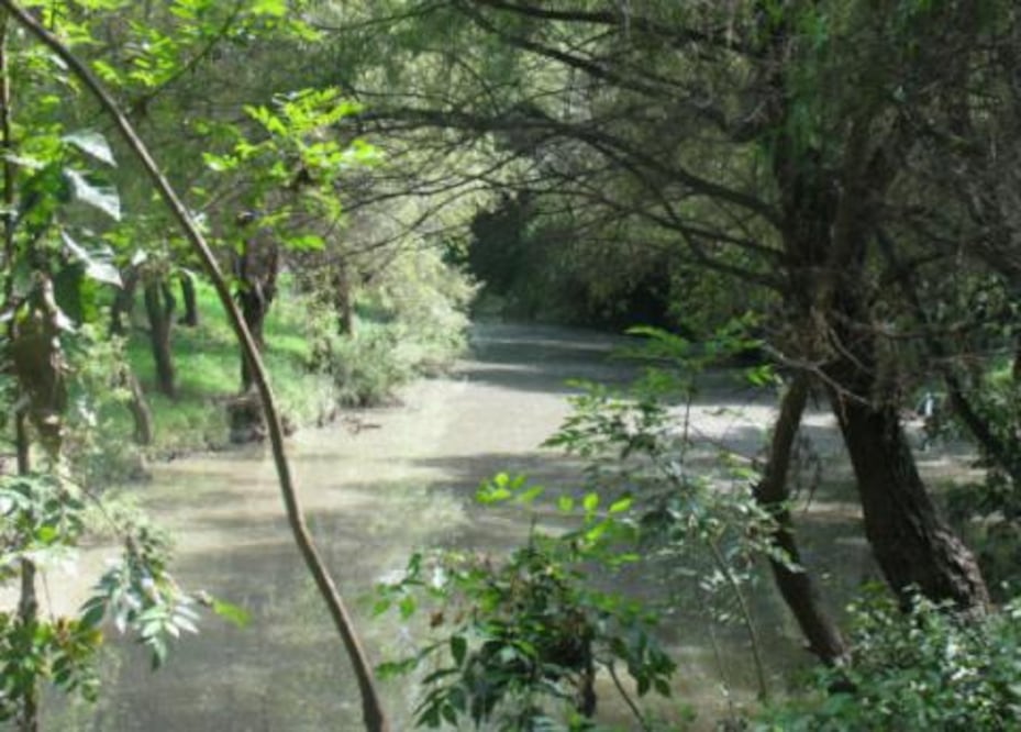 Pide Pineda coordinación a Conagua