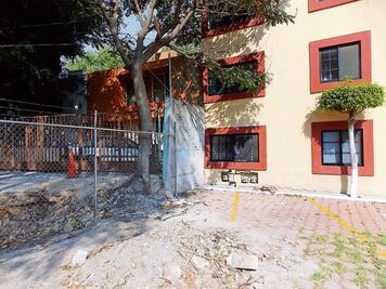 Temen colapso de inmueble  por los árboles