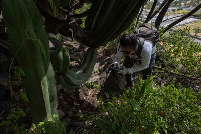 Localizan presuntos restos humanos en el municipio de Querétaro