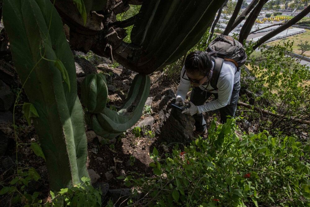 Demian Chávez / EL UNIVERSAL