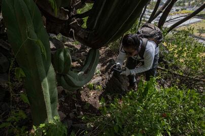 Localizan presuntos restos humanos en el municipio de Querétaro