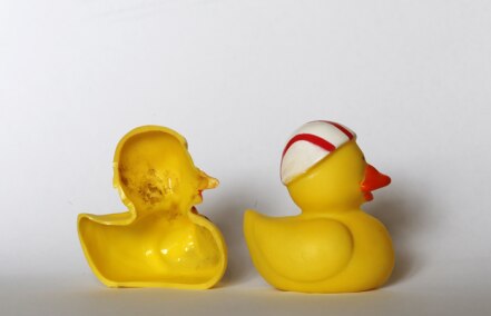 Revelan el secreto sucio de los patitos de juguete