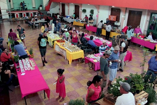 Ofertan productos sustentables