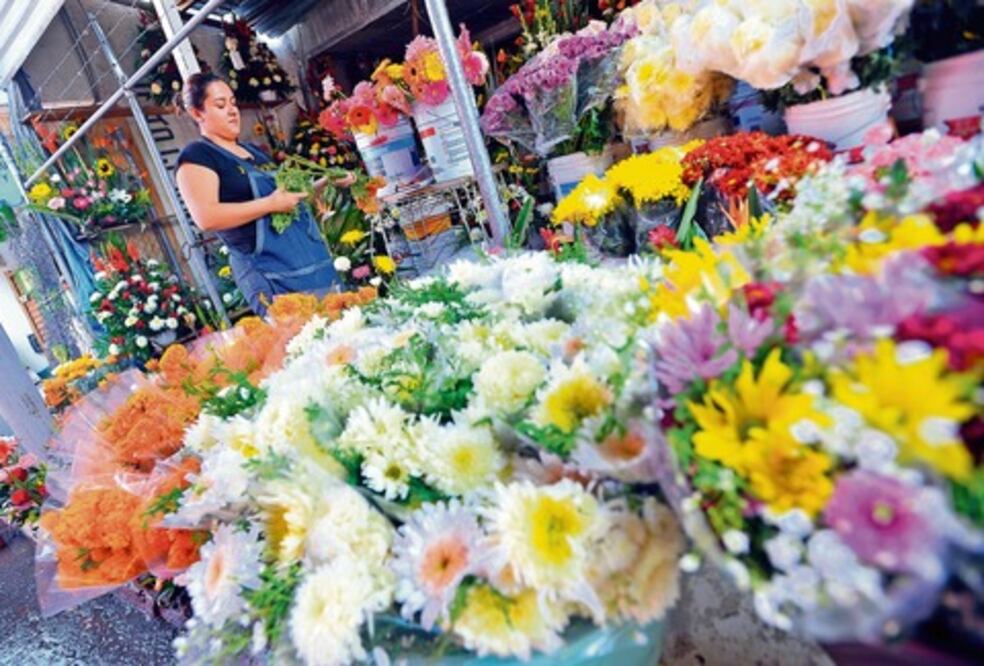 Esperan regularizar 43 mil negocios