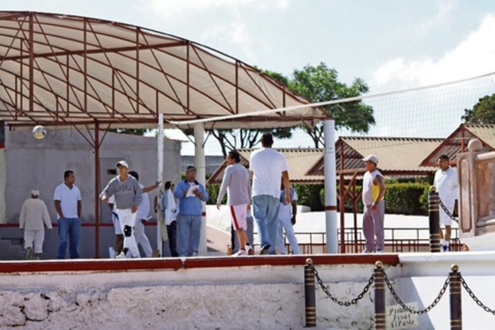 En 5 años, disminuyeron reos 