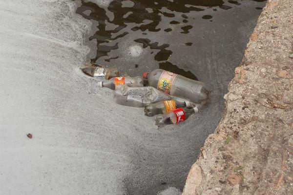 Piden denunciar daños al medio ambiente