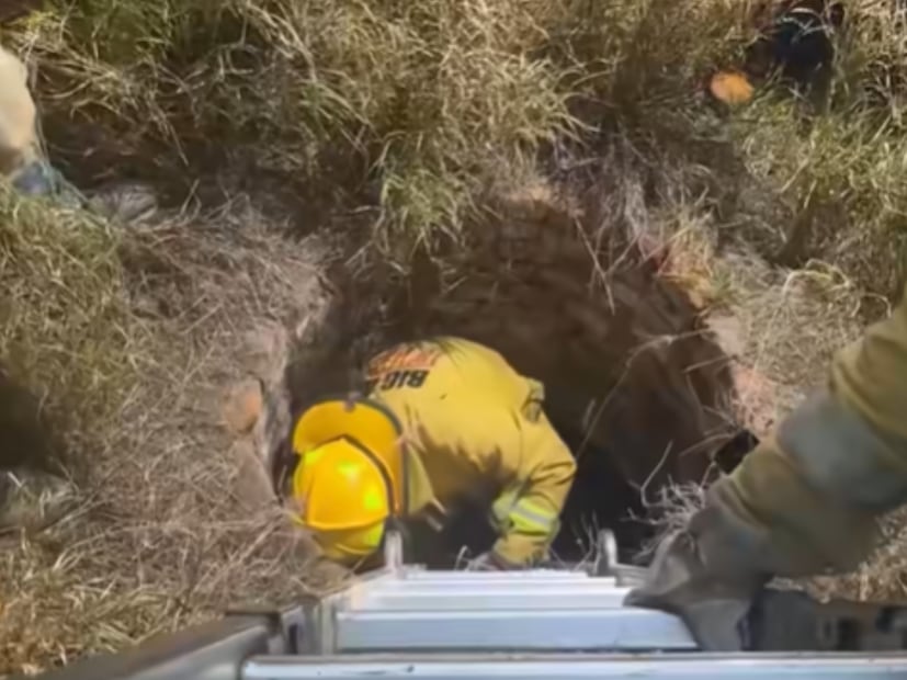 FOTO. CAPTURA DE PANTALLA
