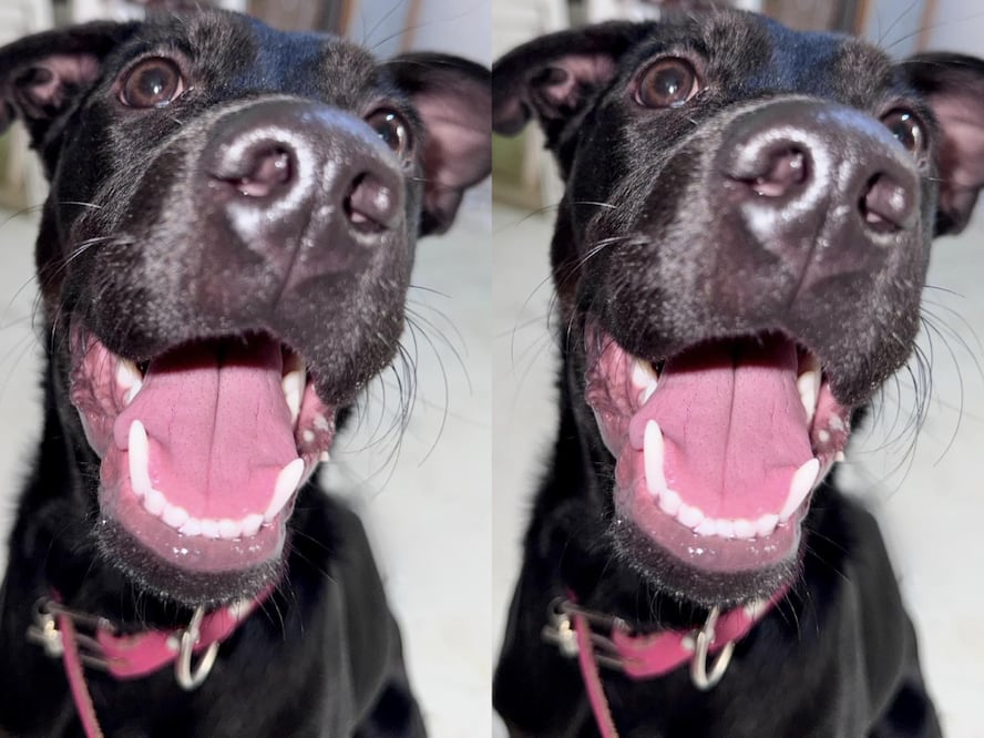 FOTO. CAPTURA DE PANTALLA