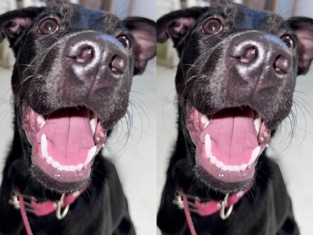 FOTO. CAPTURA DE PANTALLA