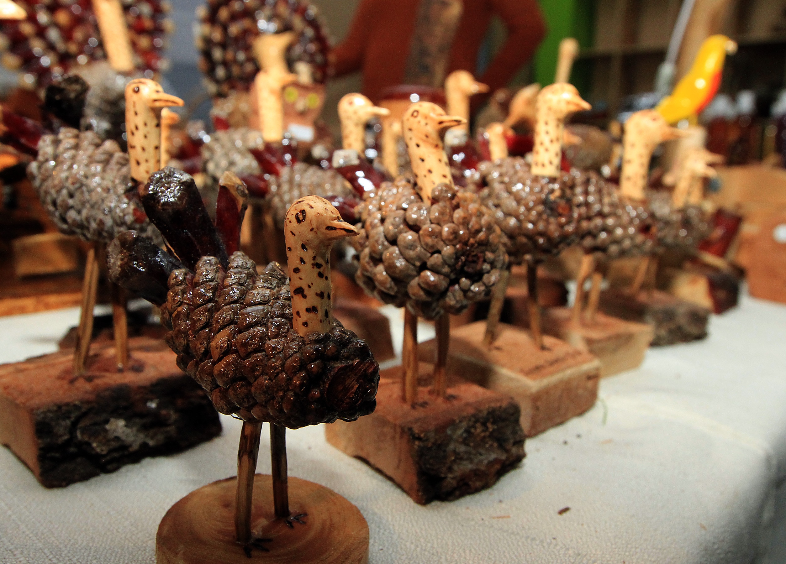 Mágico aviario de cortezas