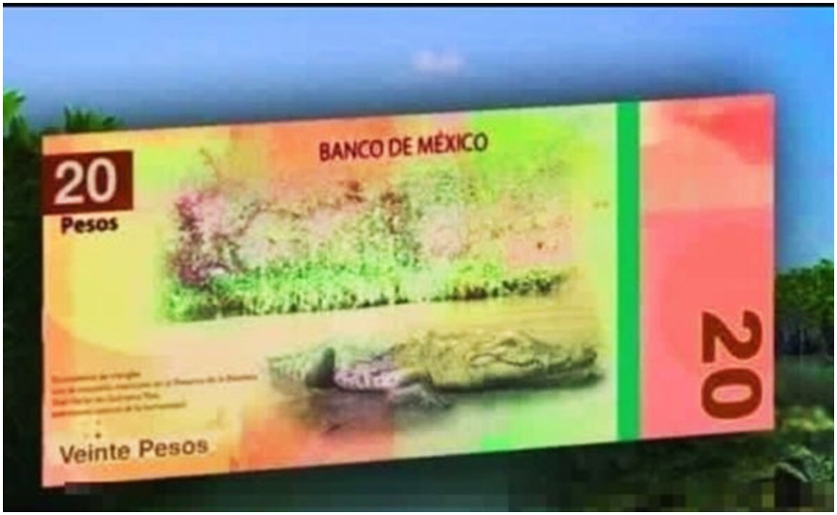 Adiós a Juárez y Morelos, Banxico alista nuevos billetes de 20 y 50 pesos y así serán
