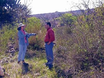 Ambientalistas logran proteger reserva verde