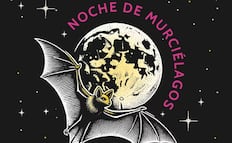 Noche de Murciélagos en Xochimilco; Sedema anuncia recorridos nocturnos y monitoreo con radar