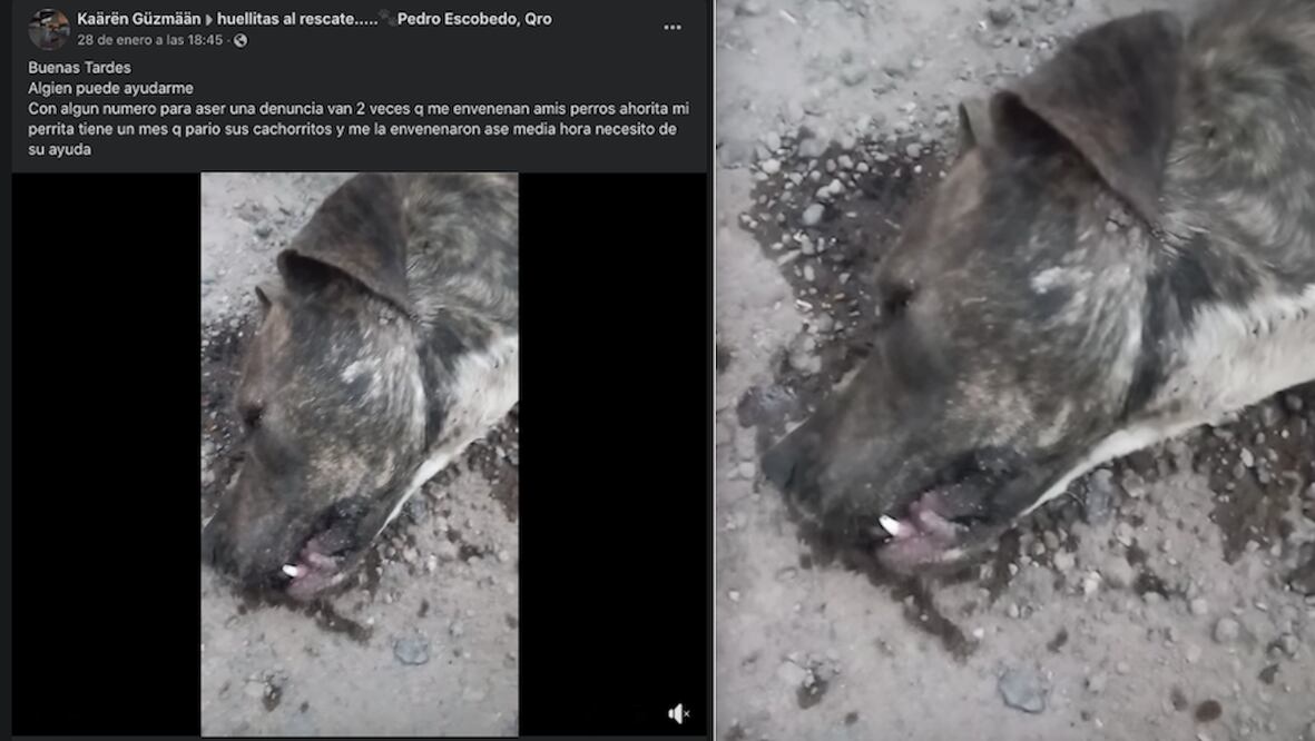 Bajo Reserva 30 de enero de 2023