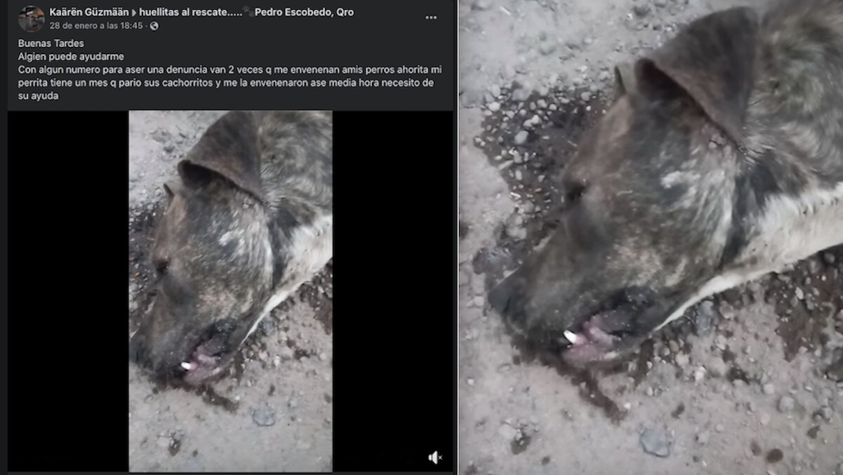 Bajo Reserva 30 de enero de 2023