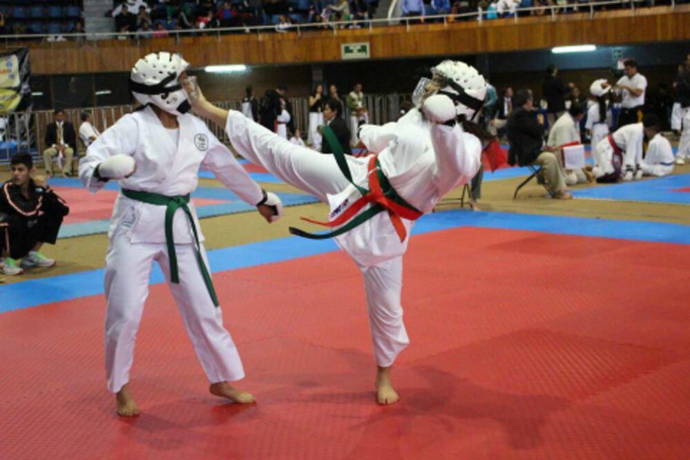 Brillan queretanos en Copa Funakoshi