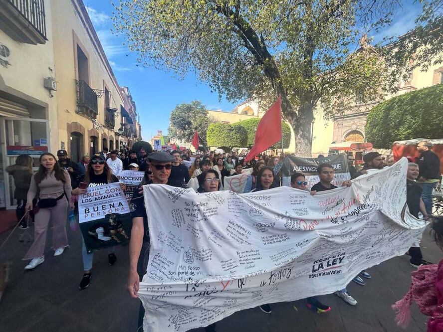 FOTO: MIYAZAQUI BLANCO